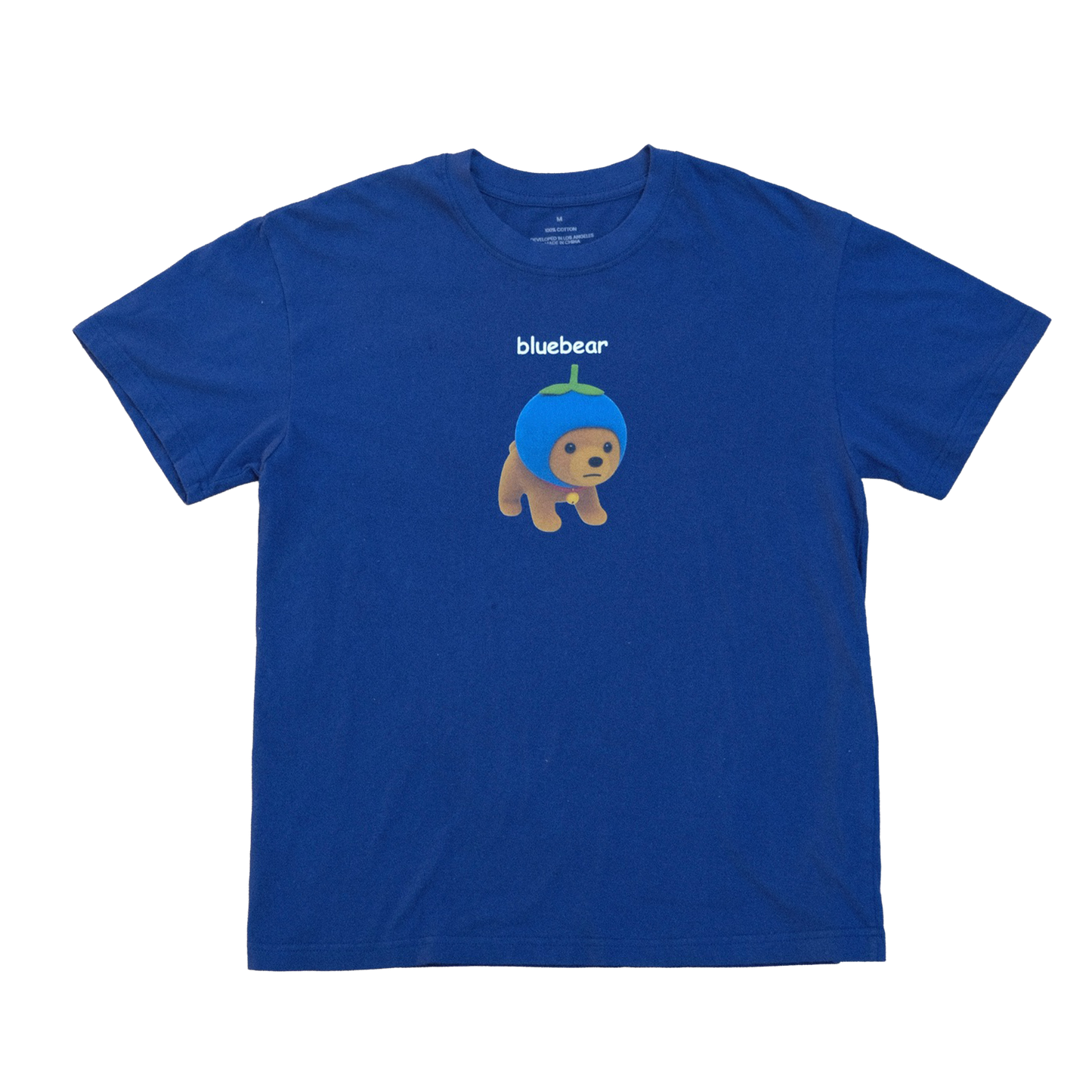 a bluebear 🫐