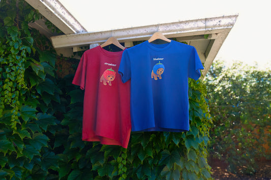 🍓🫐 bearys bundle 🧸🫶